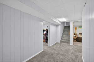 Finished basement hallway featuring paneled walls and plush carpet