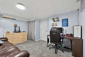 Basement bedroom with paneled walls and plush carpet