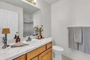 Primary bathroom with vanity, toilet and shower