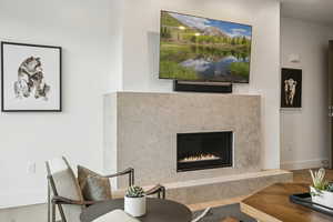 Living area featuring a fireplace and wood finished floors