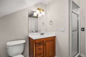 Bathroom with a shower stall, vanity, a textured ceiling, and lofted ceiling