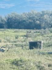 Mountain view featuring rural landscape & wild turkeys