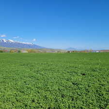 View of mountain background