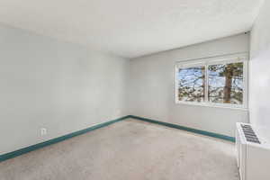 Empty room with light carpet and a textured ceiling