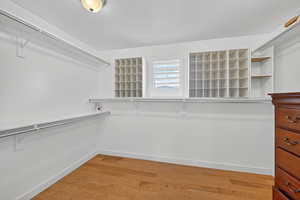 Walk in closet featuring light wood finished floors