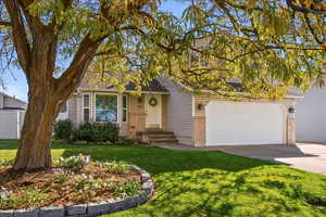 Mature trees & well-tended perennials