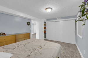 Bedroom featuring carpet floors, a textured ceiling, and a closet