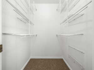 Walk in closet with dark carpet