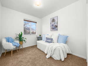 Living area featuring carpet