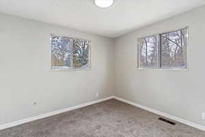 Carpeted spare room with plenty of natural light