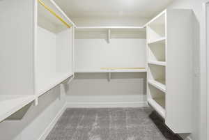 Spacious closet featuring light carpet