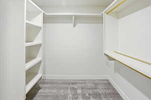 Spacious closet with light carpet