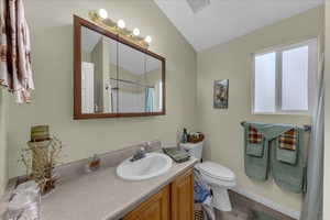 Full bath featuring vanity, dark wood finished floors, curtained shower, and lofted ceiling