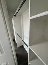 Primary Spacious closet featuring carpet