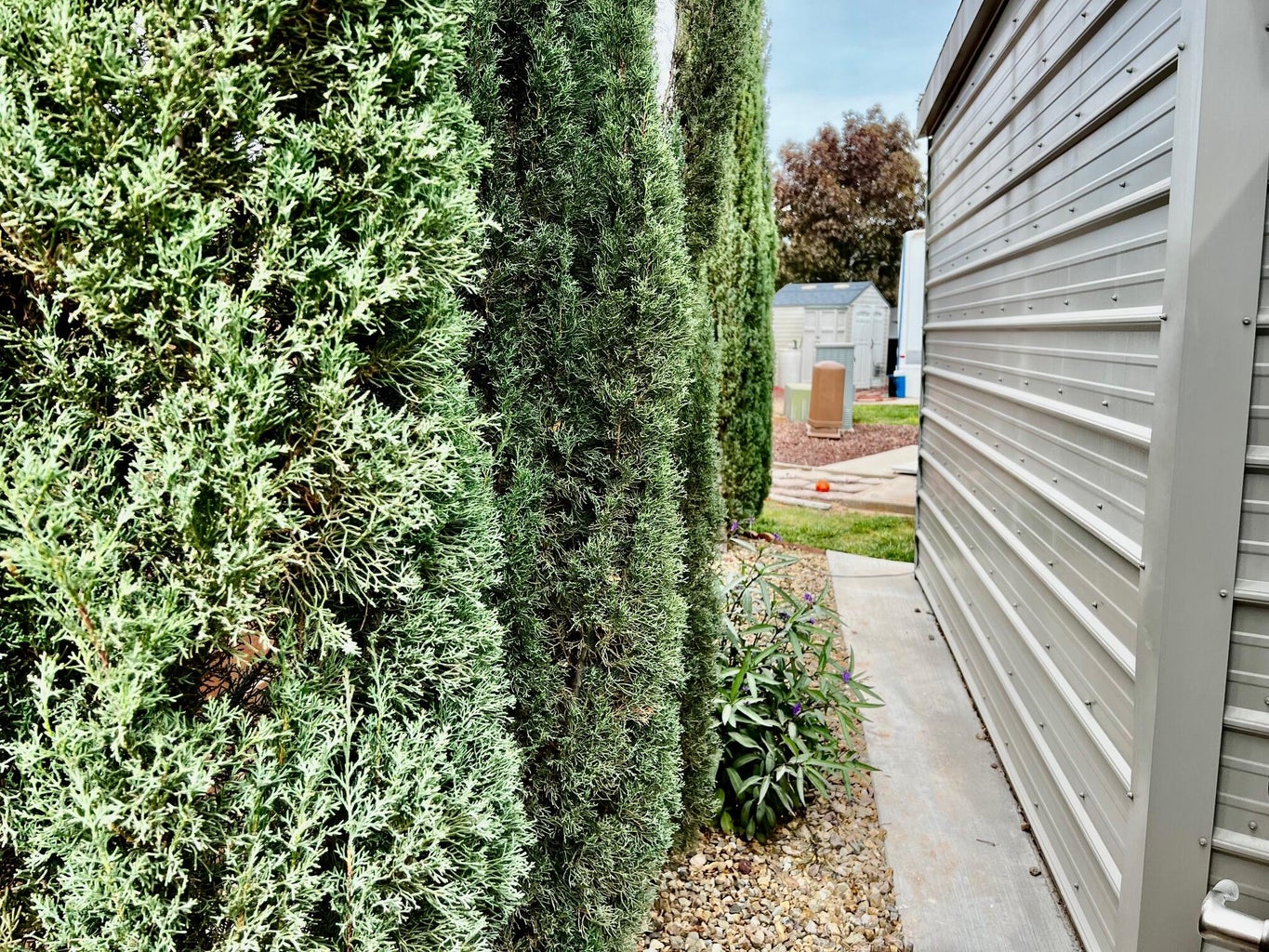 View of side of home with a storage unit