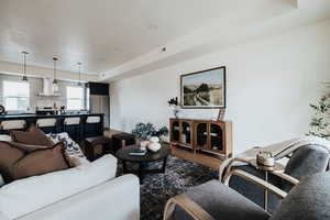 Living area with dark wood finished floors and a raised ceiling