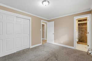 Unfurnished bedroom featuring ornamental molding, a closet, carpet floors, and connected bathroom