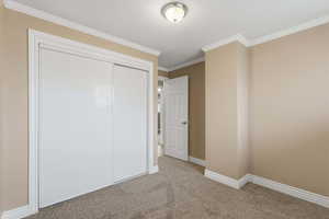 Unfurnished bedroom featuring ornamental molding, carpet flooring, and a closet