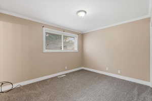 Carpeted empty room featuring ornamental molding and baseboards