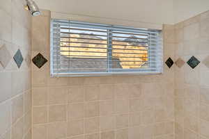 Shared shower with view in Jack-n-Jill bath.