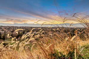 Common Space - Mountain view
