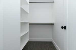 Walk in closet with dark colored carpet