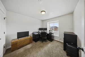 Office featuring light colored carpet and a textured ceiling