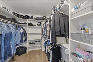 Spacious closet featuring light colored carpet