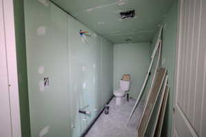 Bathroom with toilet and carpet floors