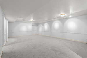 Huge recreation room in basement