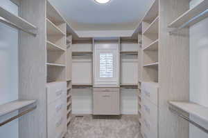 Spacious closet featuring light colored carpet