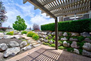 View of yard featuring a pergola and a patio