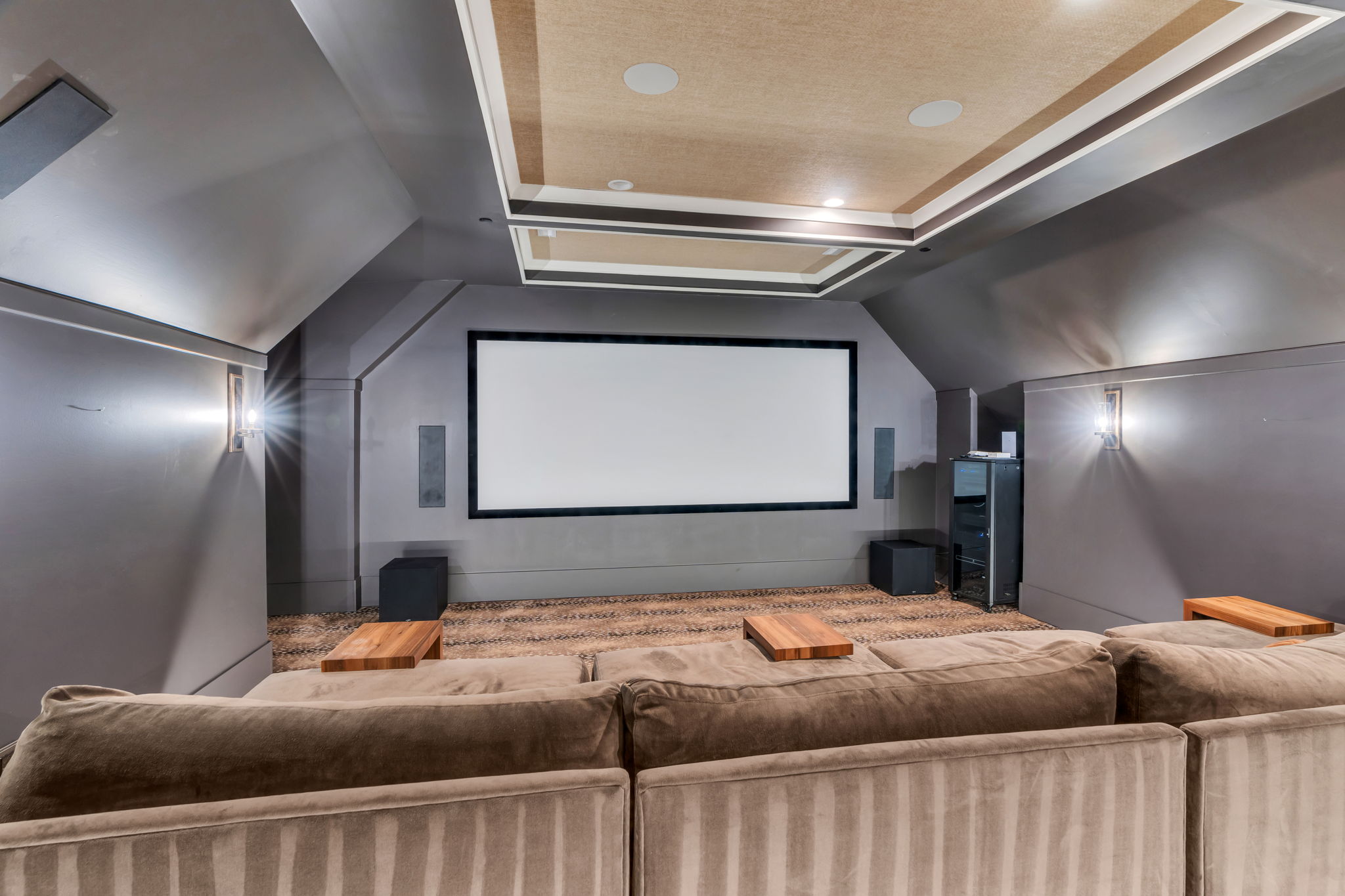 Cinema featuring a raised ceiling