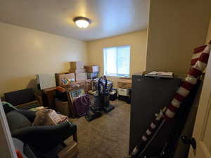 Office featuring light colored carpet