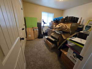 Carpeted bedroom featuring a closet