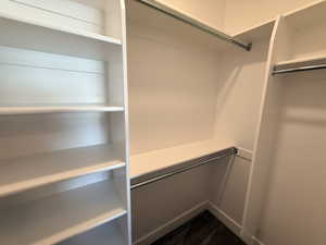 View of spacious closet