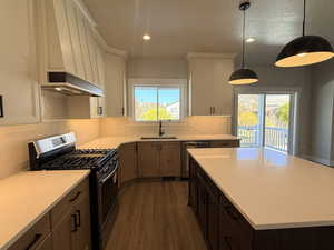 Kitchen with appliances with stainless steel finishes, premium range hood, recessed lighting, a center island, and hanging light fixtures
