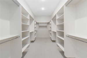 Spacious closet featuring light carpet