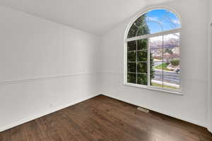 Unfurnished room featuring lofted ceiling and dark wood-style flooring