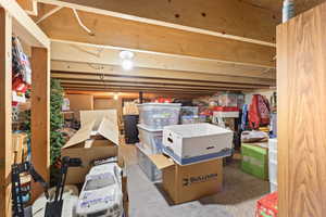 Crawl Space Storage