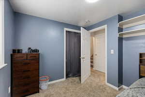 Basement Bedroom #1 (alt view)