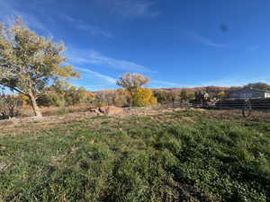 View of yard with a view of rural / pastoral area