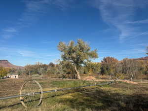 View of yard with a view of rural / pastoral area and a mountain view