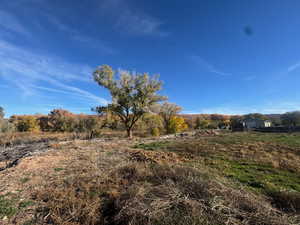 View of local wilderness with rural landscape