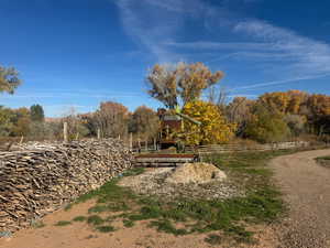View of yard with a view of rural / pastoral area