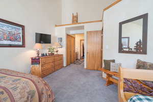 Carpeted bedroom featuring a closet and a high ceiling