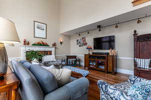 Living area featuring rail lighting, wood finished floors, and a fireplace