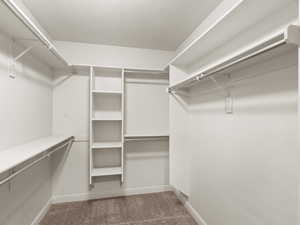 Walk in closet featuring dark colored carpet