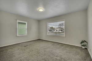 Empty room featuring plenty of natural light, light carpet, and a textured ceiling
