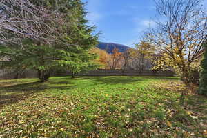 Front yard with mature trees and fall color.